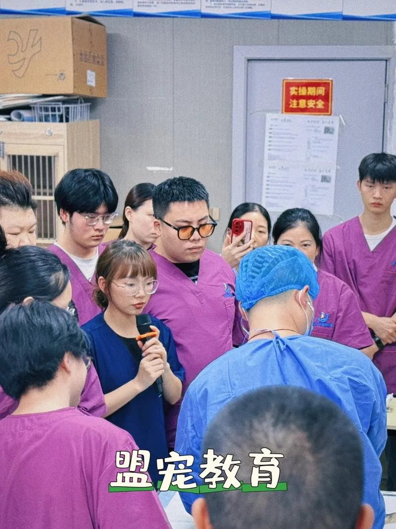 哪里有学宠物医生的学校-哪里有学宠物医生