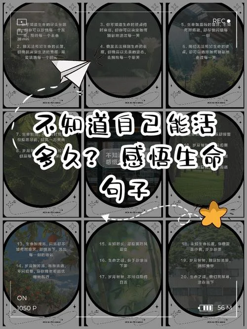 珍惜生命感悟_1