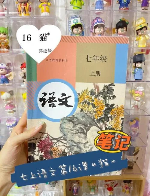 猫这本书的作者是谁_1
