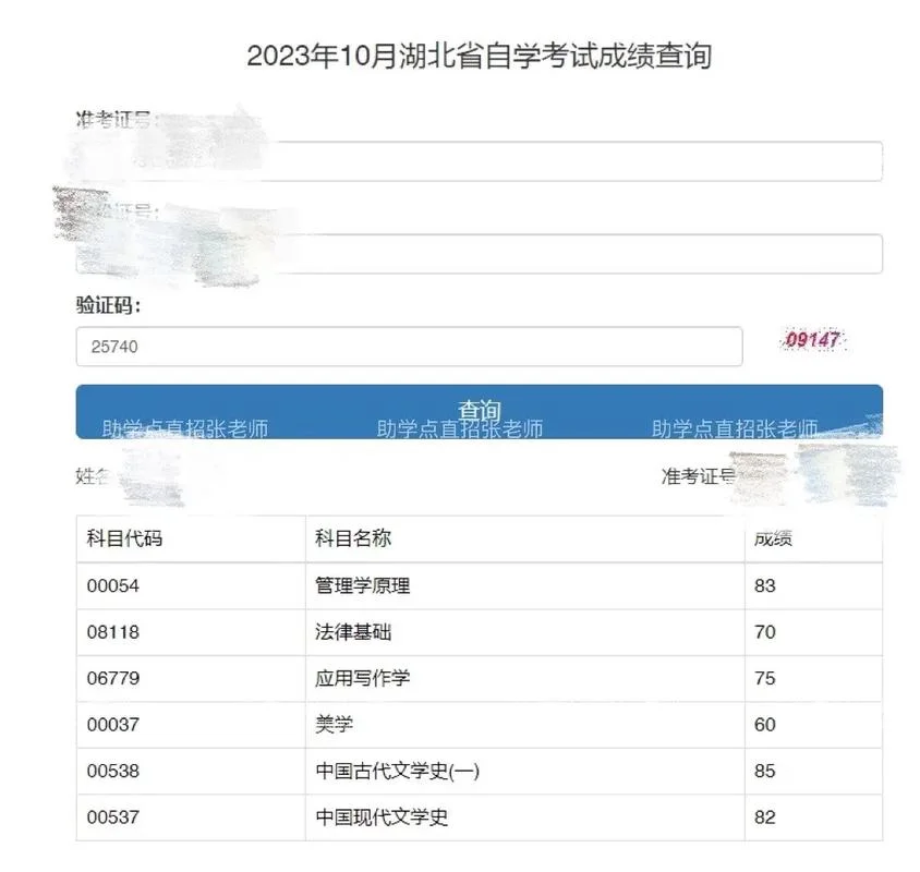 湖北教育考试院成绩查询_1