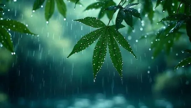 秦皇岛历史天气预报_2