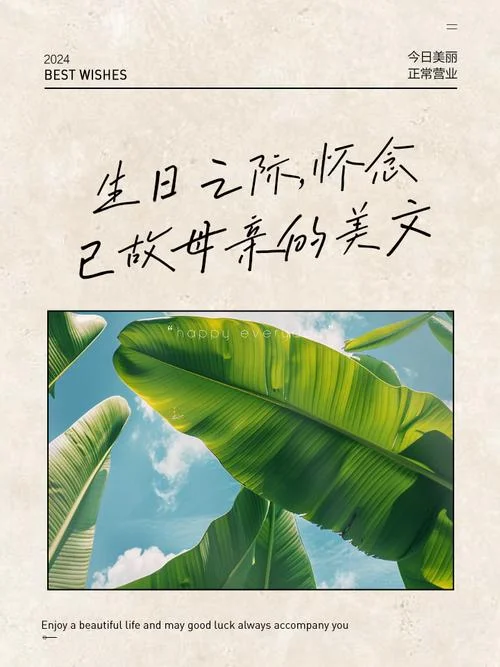 梦见已故母亲的文案_1