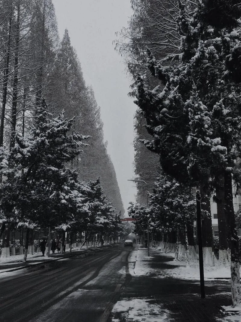 南京大雪是哪一年-南京大雪是哪年