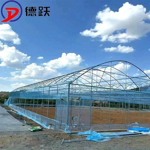 连体大棚多少一平方_1