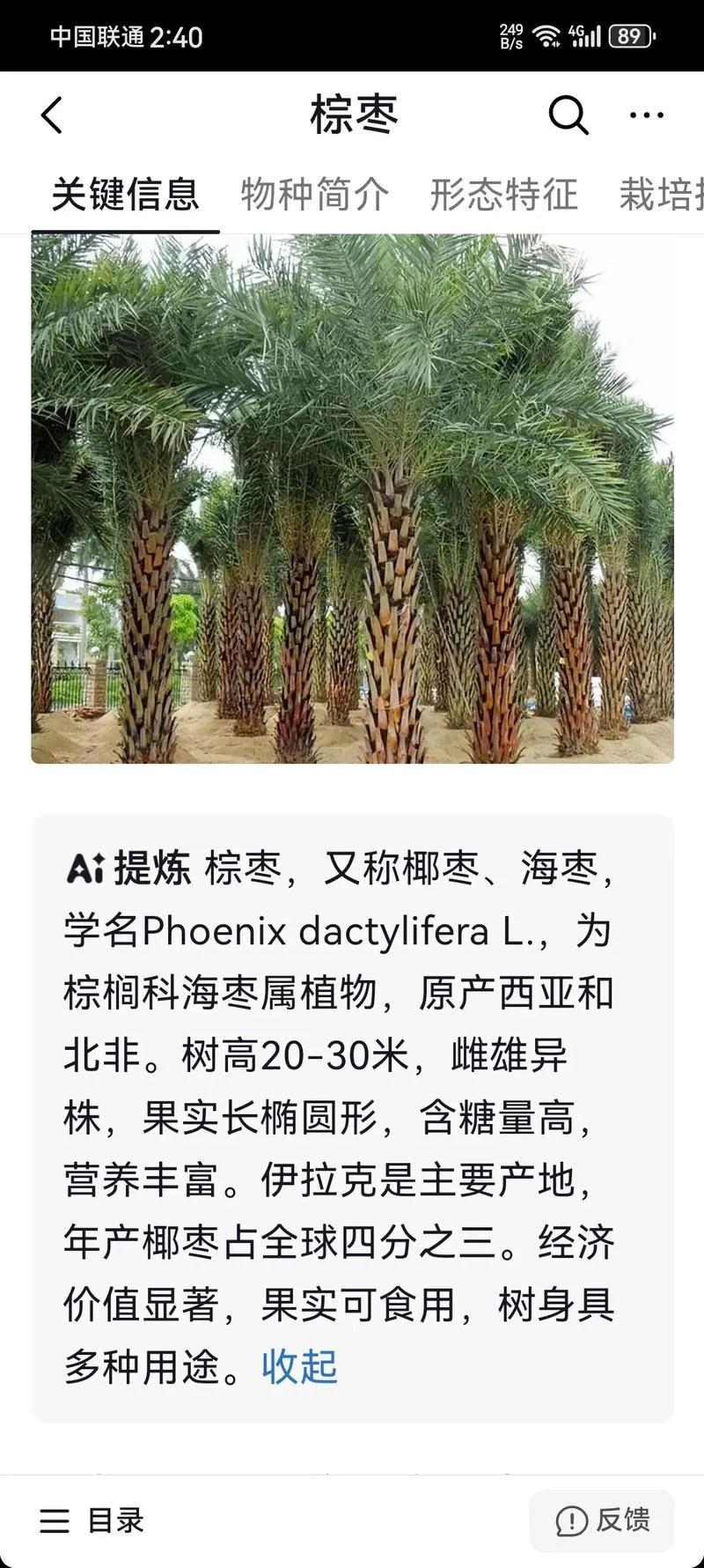 海南椰子树简介-海南椰子树简介