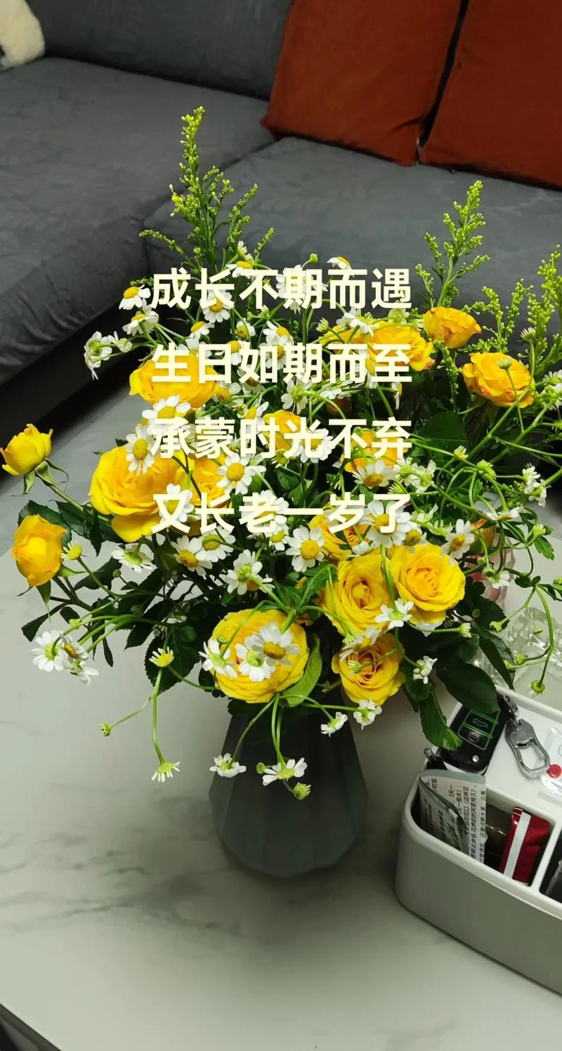 长一岁的人生感悟句子-长一岁人生感悟