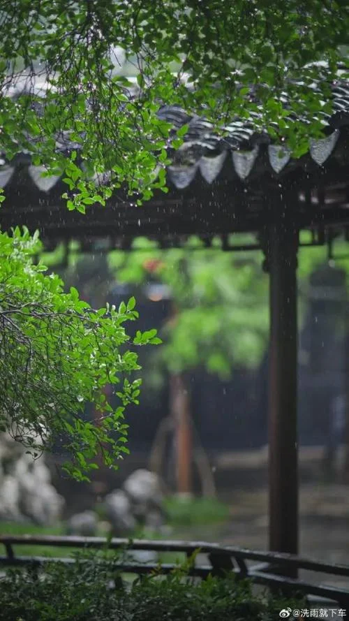 风来听风雨来赏雨出处_1