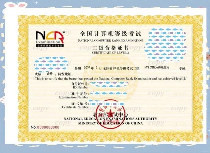 计算机二级又叫什么-计算机二级别称