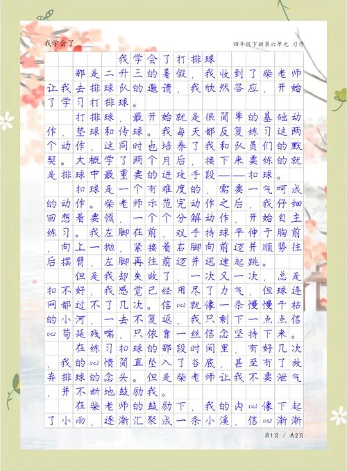 排球赛总结与感悟_1