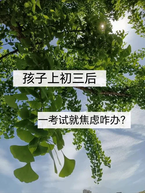 为孩子成绩焦虑_2