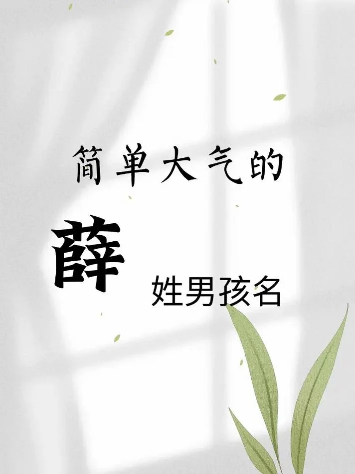 薛姓男孩起名最好听_2