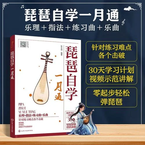 琵琶自学 怎么学_2