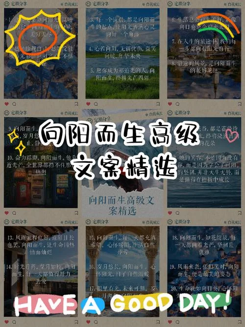 向阳而生的文案_1