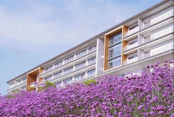 重庆江北区初中学校_2