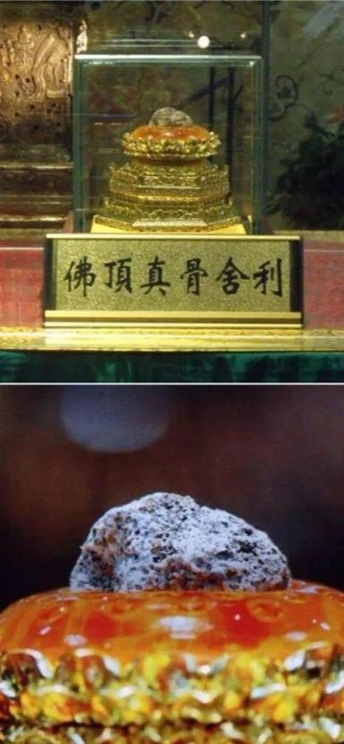 什么是舍利图片_1