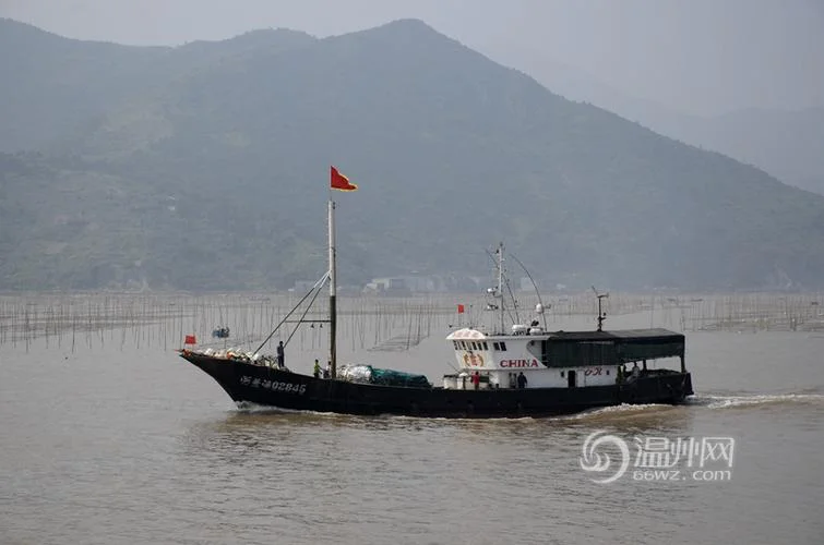 苍南到宁波多少公里_1
