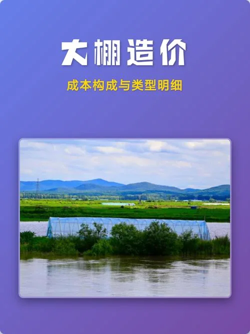 大棚承包多少钱一亩_2