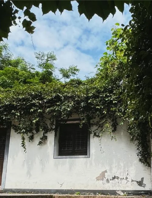 青藤书屋旅游攻略_1