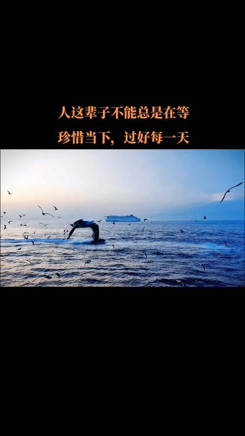 感悟图片大全集-感悟图片大全集