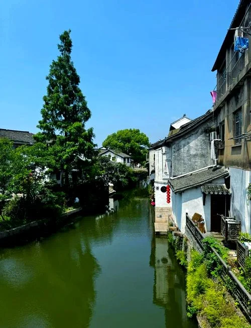奉贤区旅游景点-奉贤旅游胜地