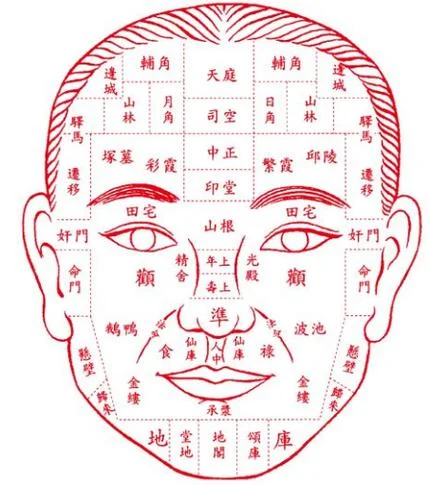 面相地库-面相地库