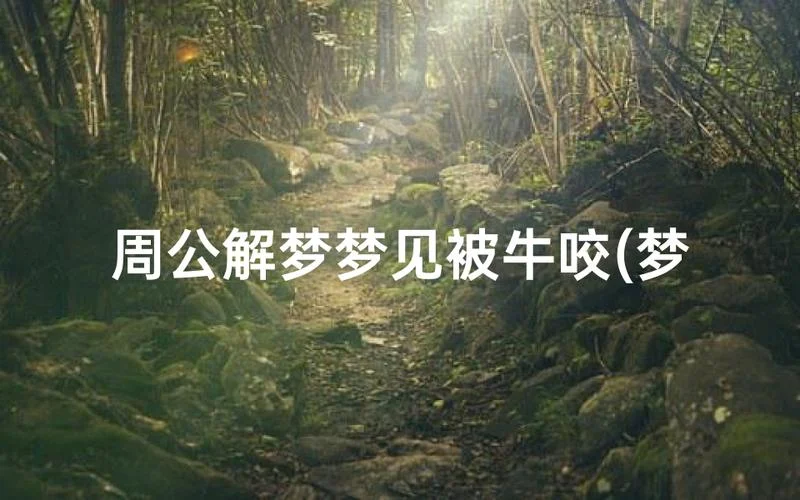 梦见牛打架周公解梦_2