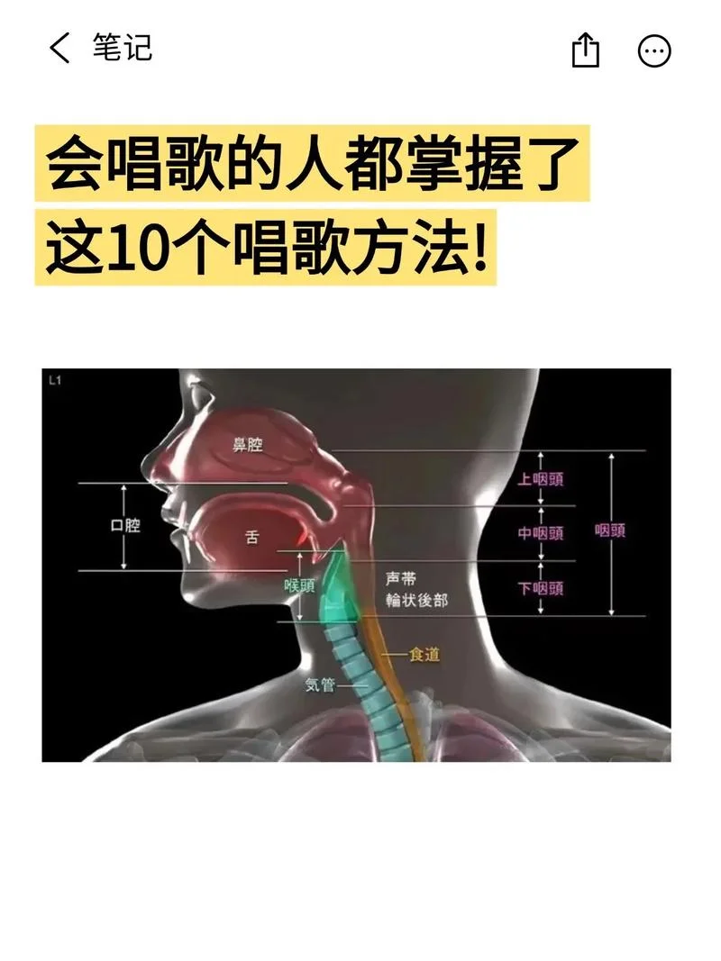 学唱歌怎么练气息支撑-唱歌气息支撑训练
