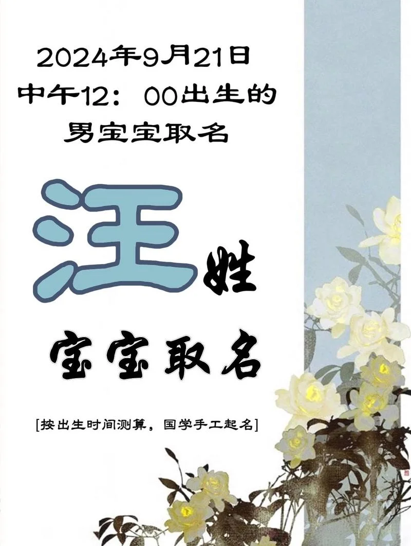 汪姓男孩起名字_2