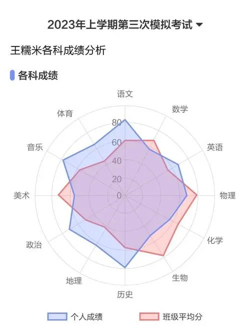 指标成绩分析_1