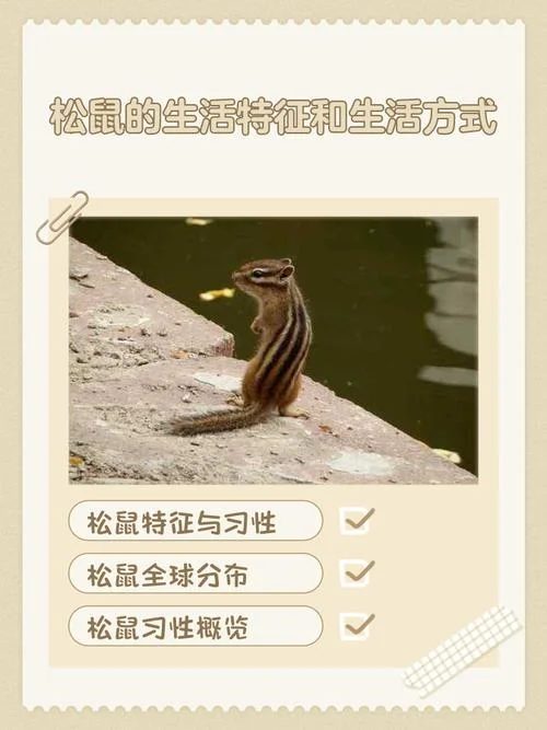松鼠的作者是哪国的谁_1