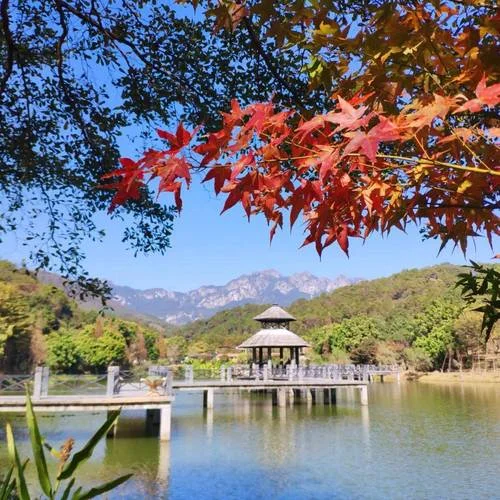 佛冈旅游十大旅游景点_1