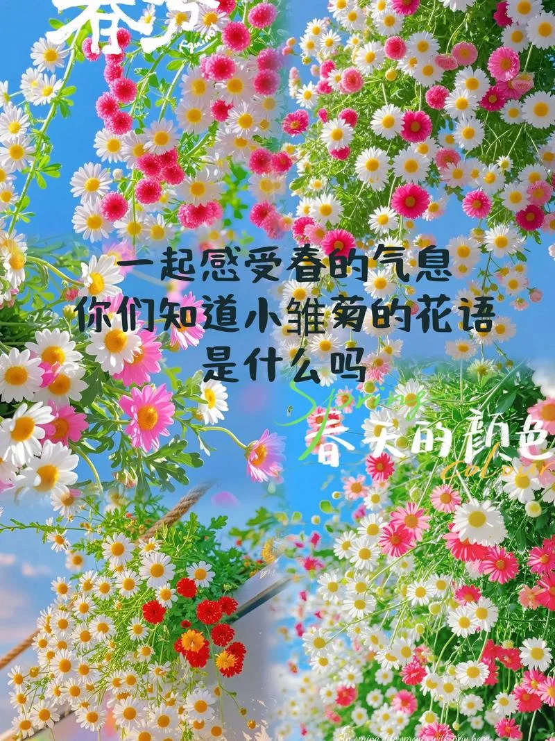 花的感悟说说心情短语_1
