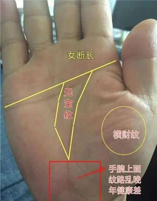 女怎么看手相流年-女手相流年解读