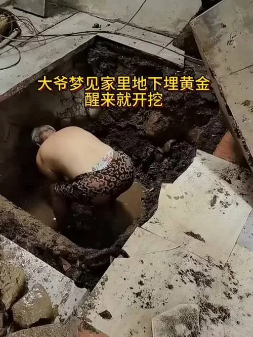 梦见迁坟墓好多黄金_2