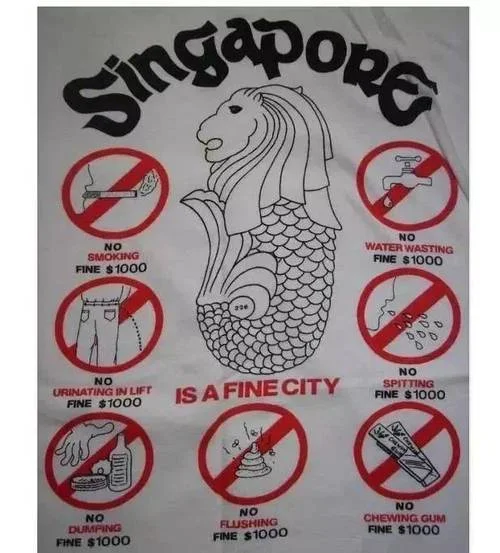 新加坡留学生准证换_2