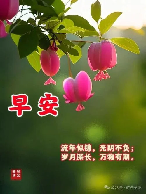祝福语图片带字简短_1