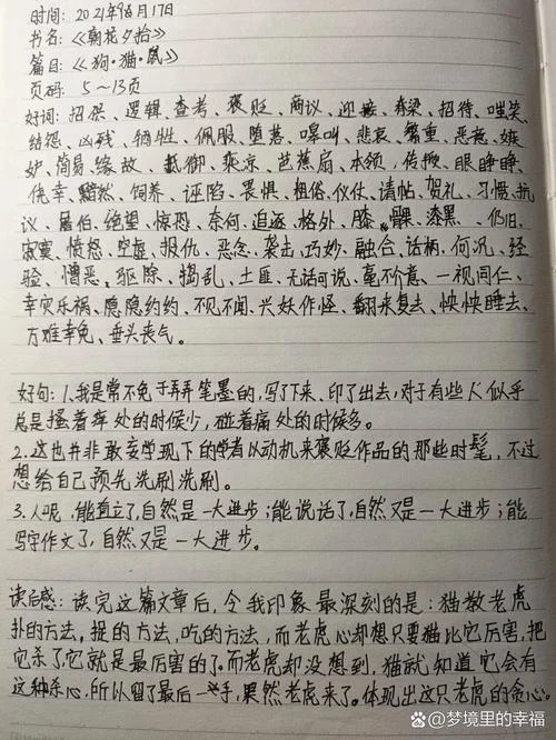 朝花夕拾读书笔记摘抄2000字以内_1