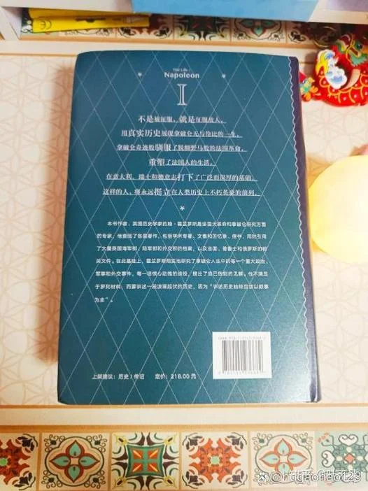 拿破仑传是谁写的_2