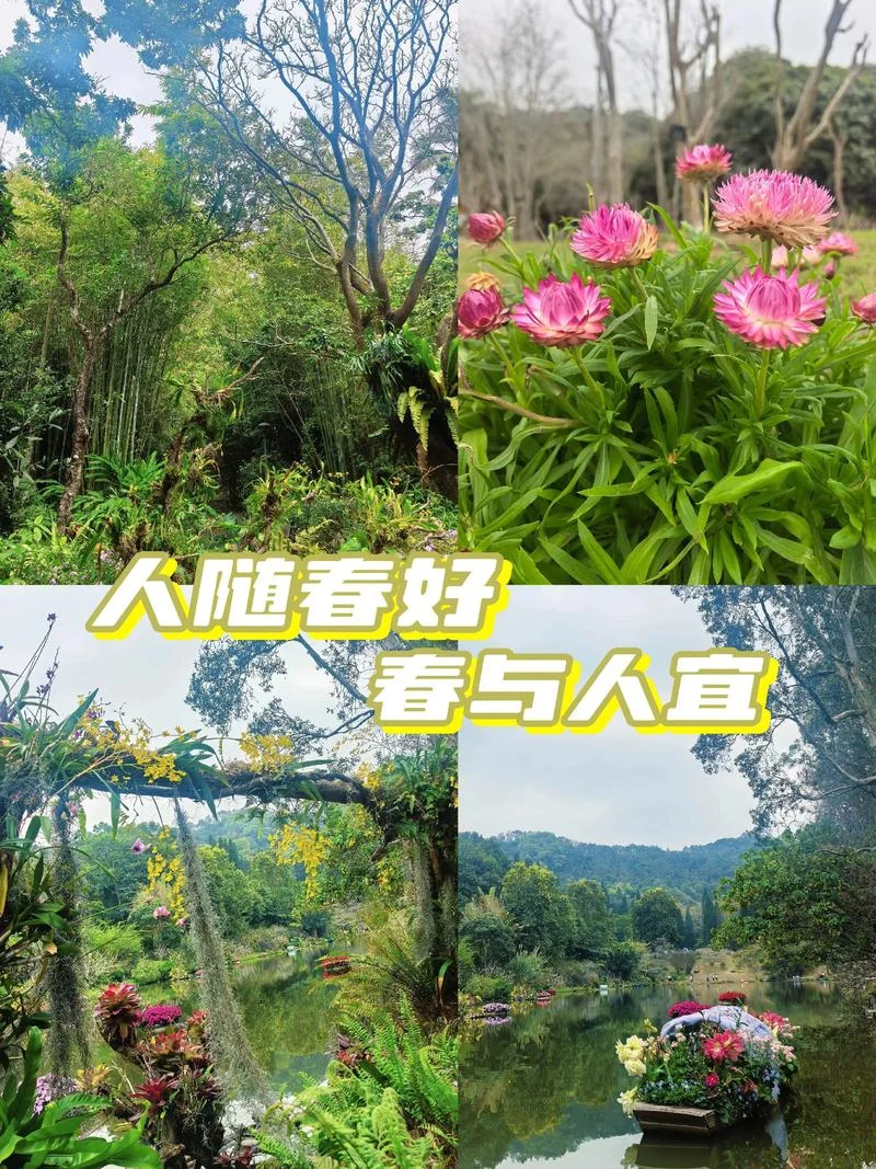 春景图片文案_1