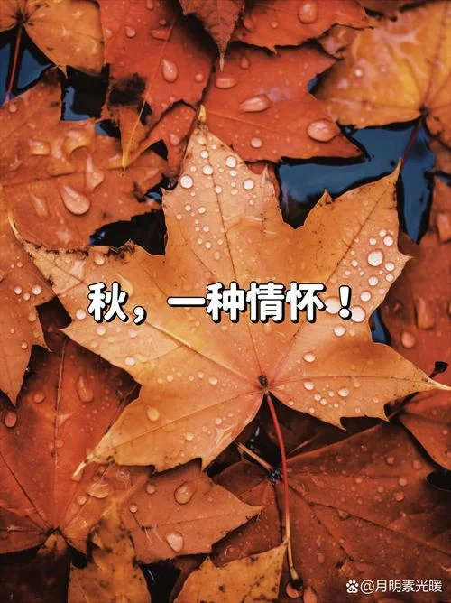 西风吹的下一句_1
