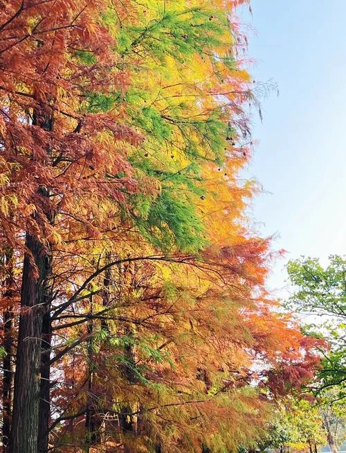 冬天松山湖旅游景点_1