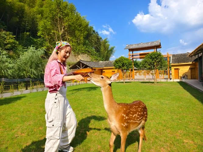 益阳安化旅游景点-安化旅游必去景点