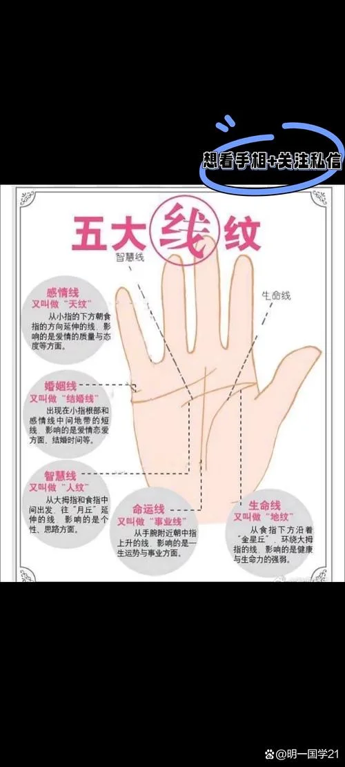 看相算命免费-免费看相算命