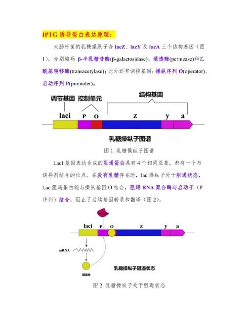 内标定量的原理_1