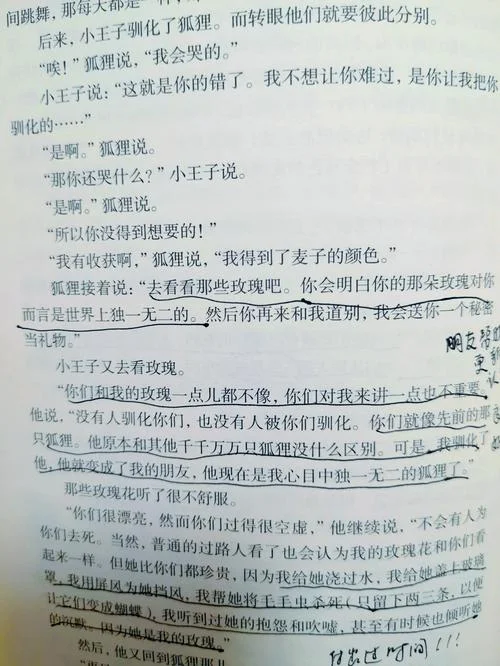 小王子的读后感450_1
