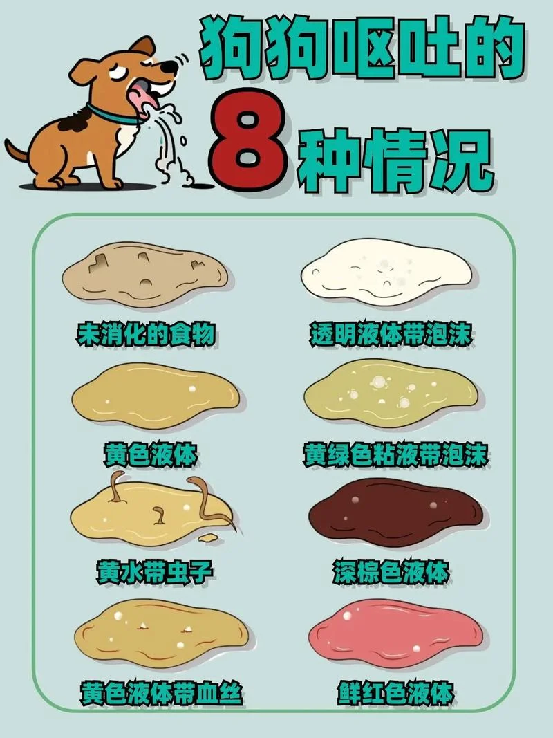 金毛吃人屎怎么办_1