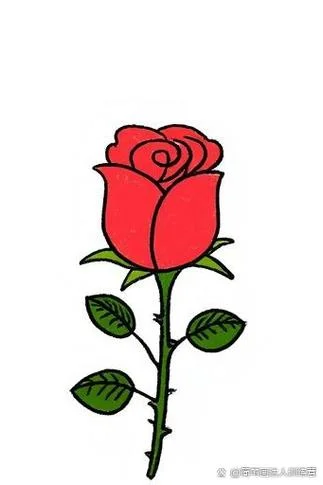 蔷薇花怎么画简笔画_1