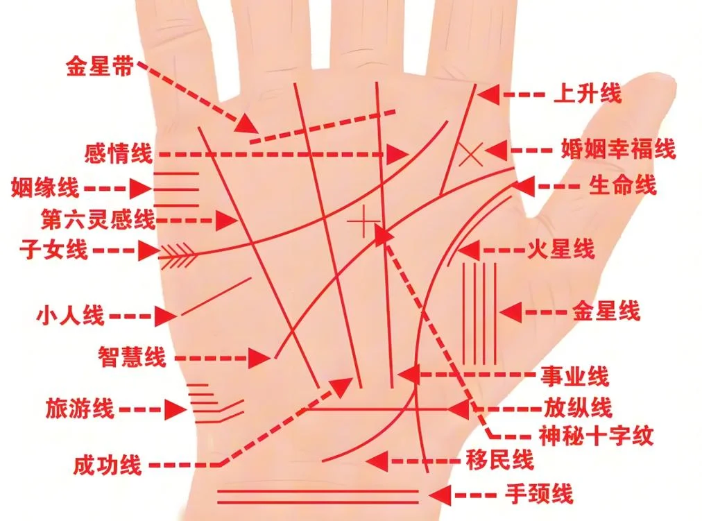 手相图解大全 左手-左手手相图解大全。