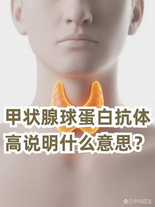抗体又叫什么_2