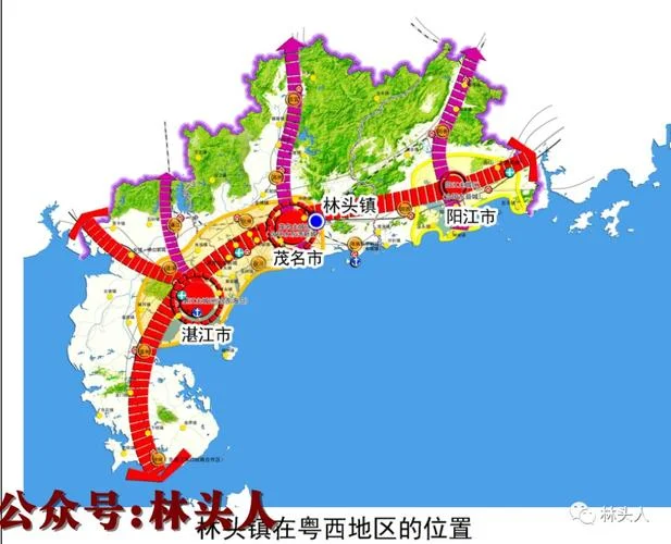 电白面积多少平方公里-电白区面积 1000 平方公里